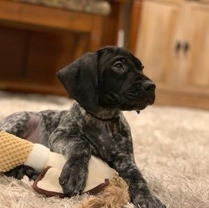 Meet your Posher, Elizabeth